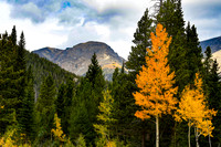 DSC_4077_edited - 2022