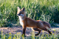 DSC_5215_edited