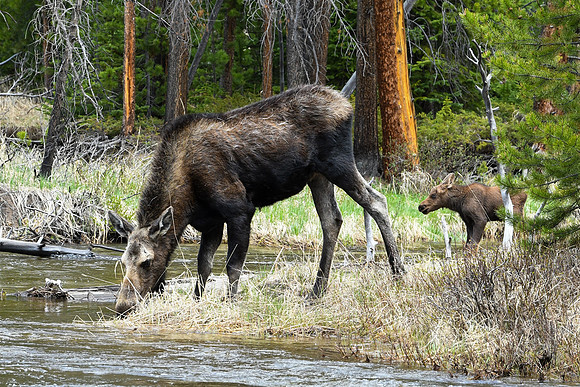 DSC_6791_edited