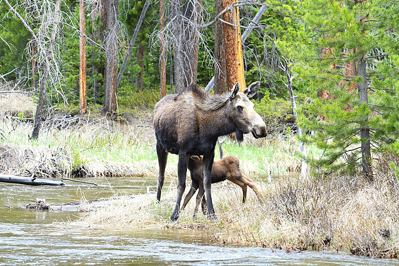 DSC_6875_edited