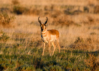 DSC_0418_edited