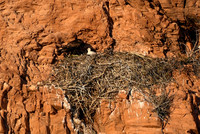 DSC_6566_edited