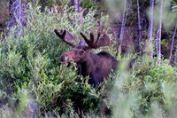 DSC_4661_edited