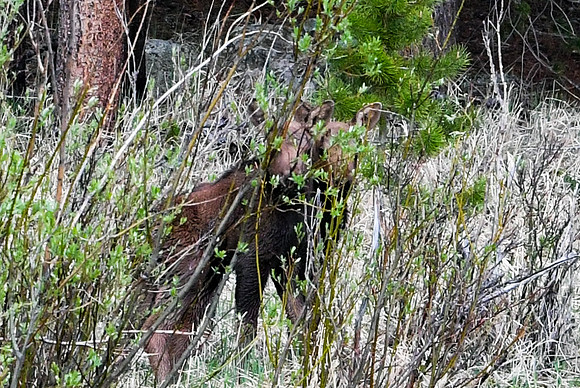 DSC_7766_edited