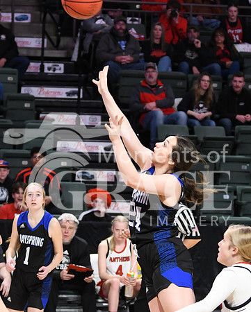 DSC_8810_edited - 8x10