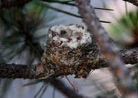 DSC_1351_edited