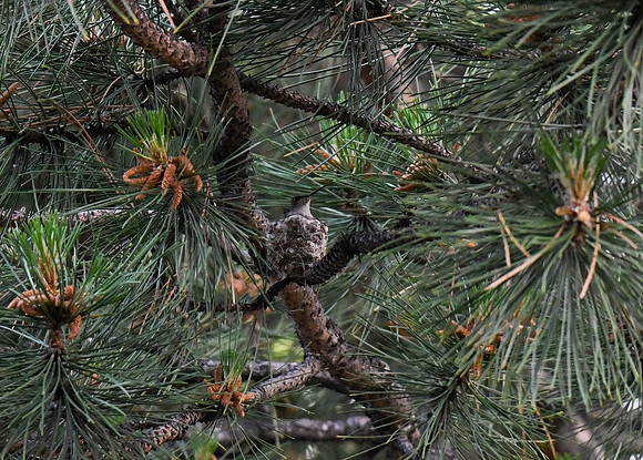DSC_1407_edited
