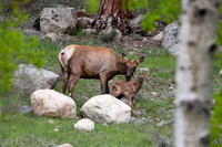 DSC_5314_edited-1