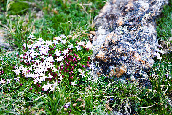 DSC_2724_edited