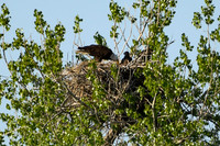 DSC_7640_edited