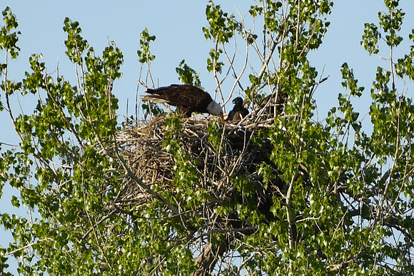 DSC_7640_edited