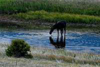 DSC_5223_edited