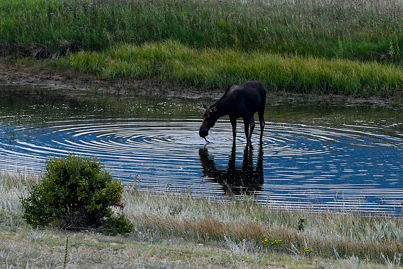 DSC_5223_edited