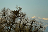 DSC_4618_edited