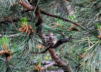 DSC_1377_edited