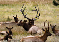 DSC_1561_edited - Kahuna 8/29/2020