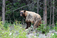 DSC_1391_edited