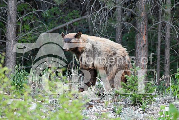 DSC_1391_edited