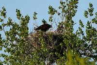 DSC_7618_edited