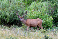DSC_4302_edited