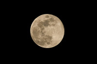 DSC_4764_edited