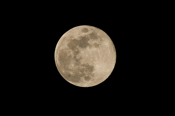 DSC_4764_edited
