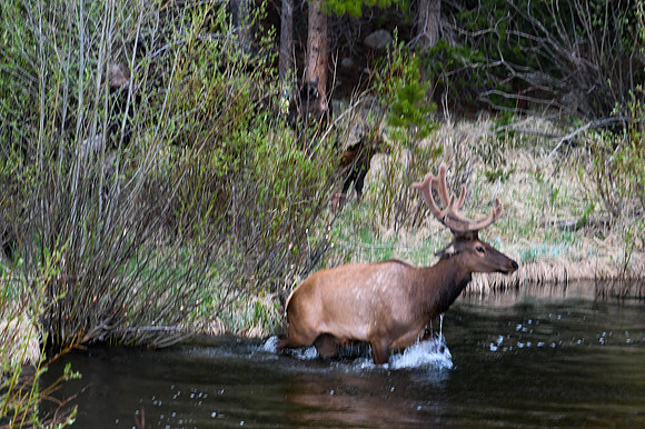 DSC_7758_edited