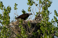 DSC_7619_edited-1