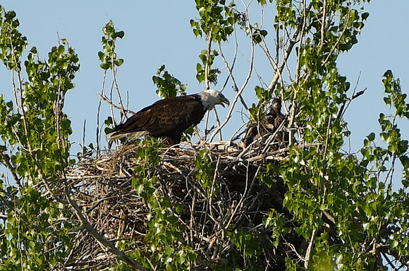 DSC_7619_edited-1