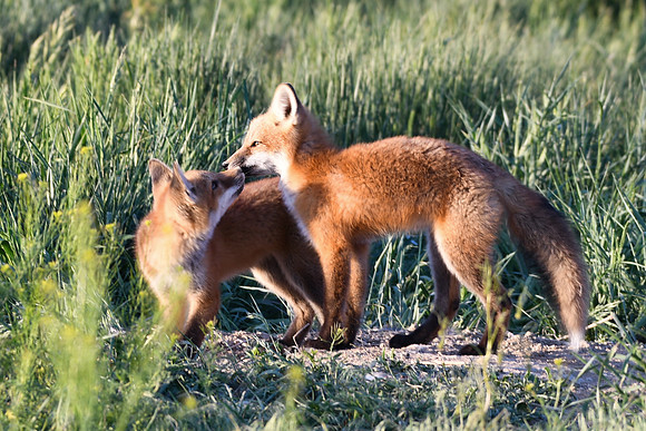 DSC_5435_edited