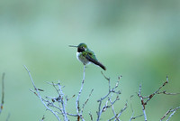 DSC_8996_edited