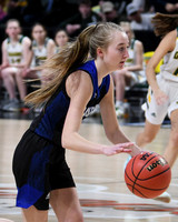 CO STATE Ladies Basketball Tourney - DCA vs Holyoke