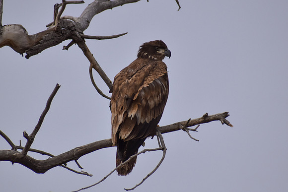 DSC_0505_edited-MX