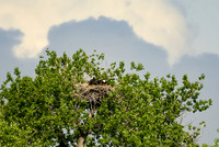 DSC_8276_edited