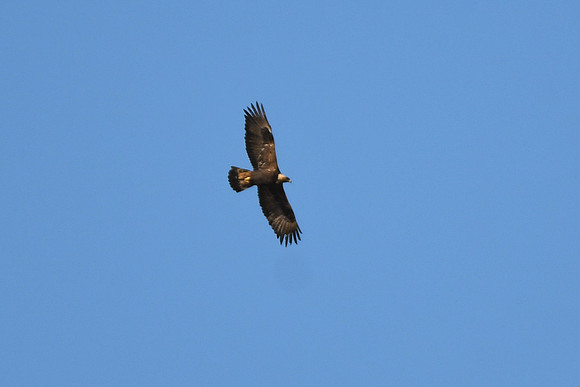DSC_5559_edited