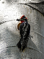 DSC_0191_edited