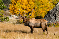 DSC_0580_edited