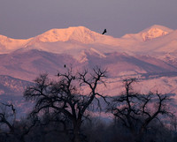 DSC_0230_edited