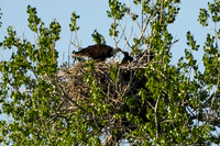 DSC_7645_edited
