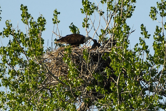DSC_7645_edited