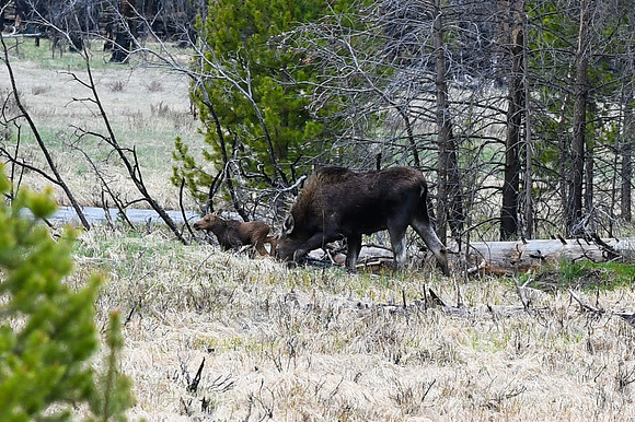 DSC_6954_edited