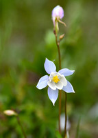 DSC_4836_edited