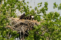 DSC_8278_edited-1