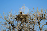 DSC_8496_edited