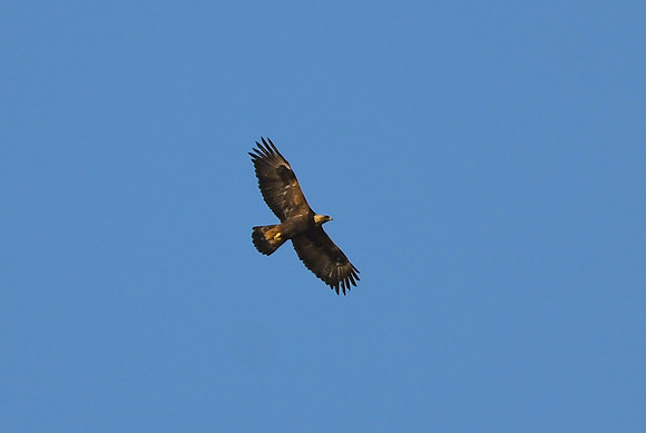 DSC_5560_edited