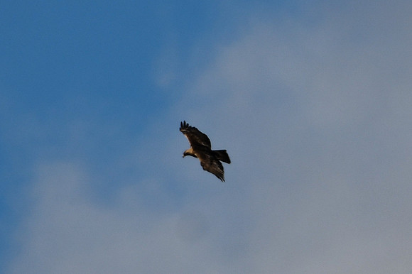 DSC_5555_edited