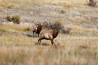 DSC_0639_edited