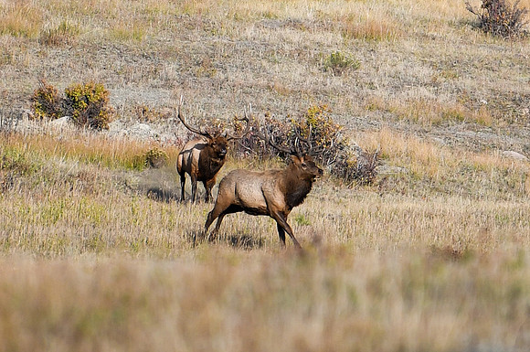 DSC_0639_edited