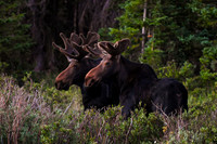 DSC_2363_edited