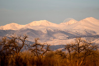 DSC_0435_edited
